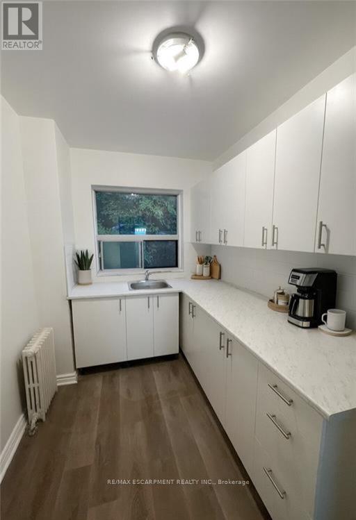 301 - 325a James Street S, Hamilton, Ontario  L8P 3B7 - Photo 3 - X13078174