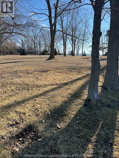 3144 Talbot Trail, Chatham-Kent, Ontario  N0P 2P0 - Photo 3 - 26005098