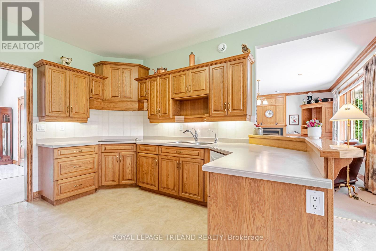 154 Parkview Drive, Thames Centre, Ontario  N0L 1G2 - Photo 17 - X13078410