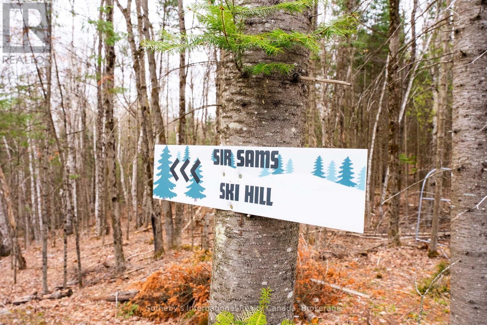 1315 North Drive, Dysart Et Al, Ontario  K0M 1S0 - Photo 24 - X13078690