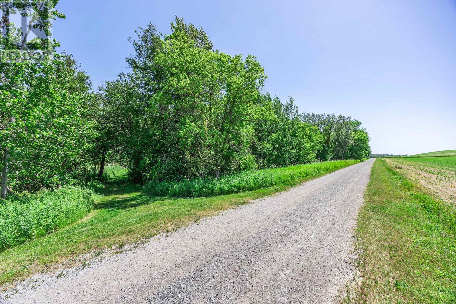 5977 13th Line, New Tecumseth, Ontario  L0L 1L0 - Photo 37 - N13078666