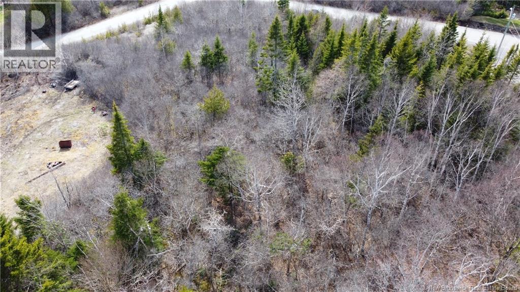 50 Foriere Drive, Saint John, New Brunswick  E2N 1J4 - Photo 21 - NB138274