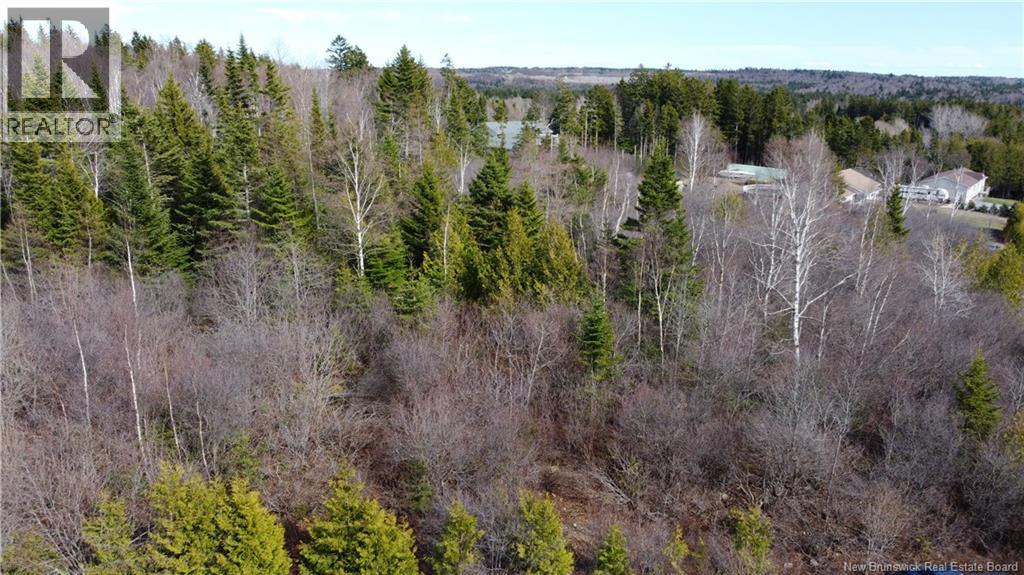 50 Foriere Drive, Saint John, New Brunswick  E2N 1J4 - Photo 23 - NB138274