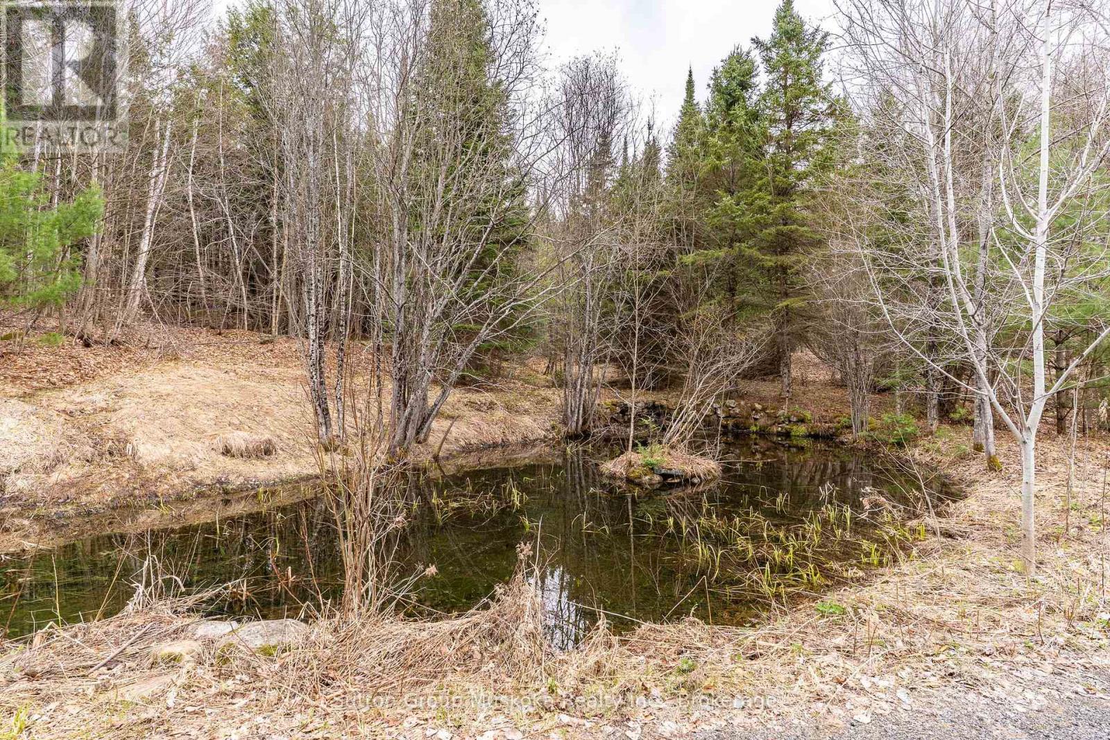 209 Swallowdale Road, Huntsville, Ontario  P1H 0A5 - Photo 8 - X13077080