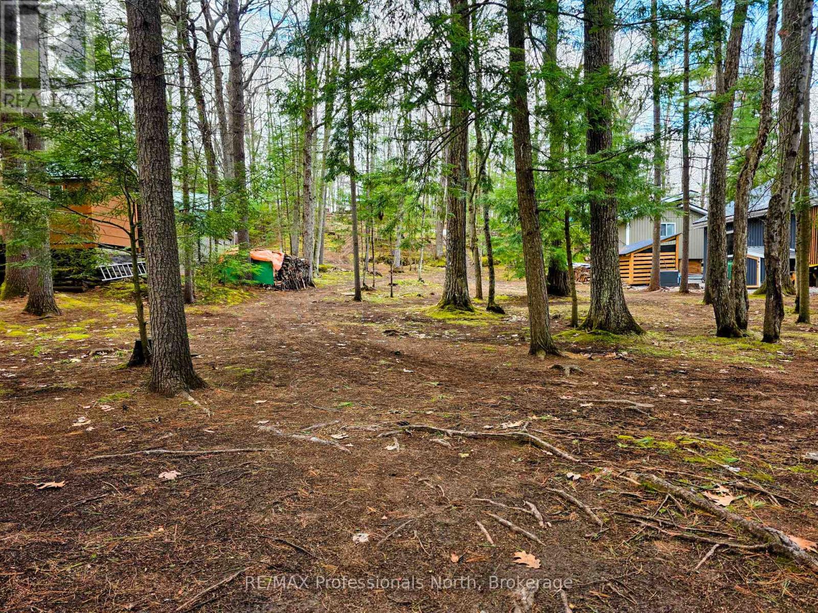 1701 Mission Drive, Minden Hills, Ontario  K0M 2K0 - Photo 11 - X13078740