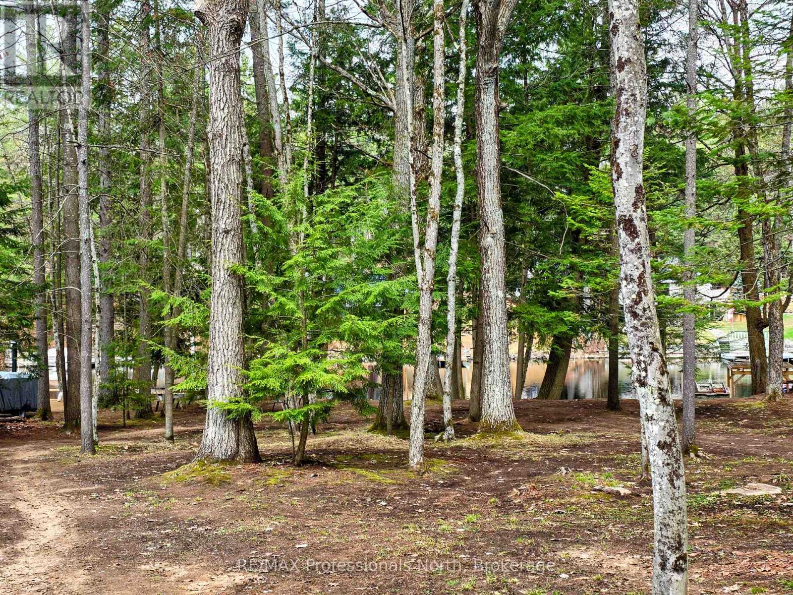 1701 Mission Drive, Minden Hills, Ontario  K0M 2K0 - Photo 5 - X13078740