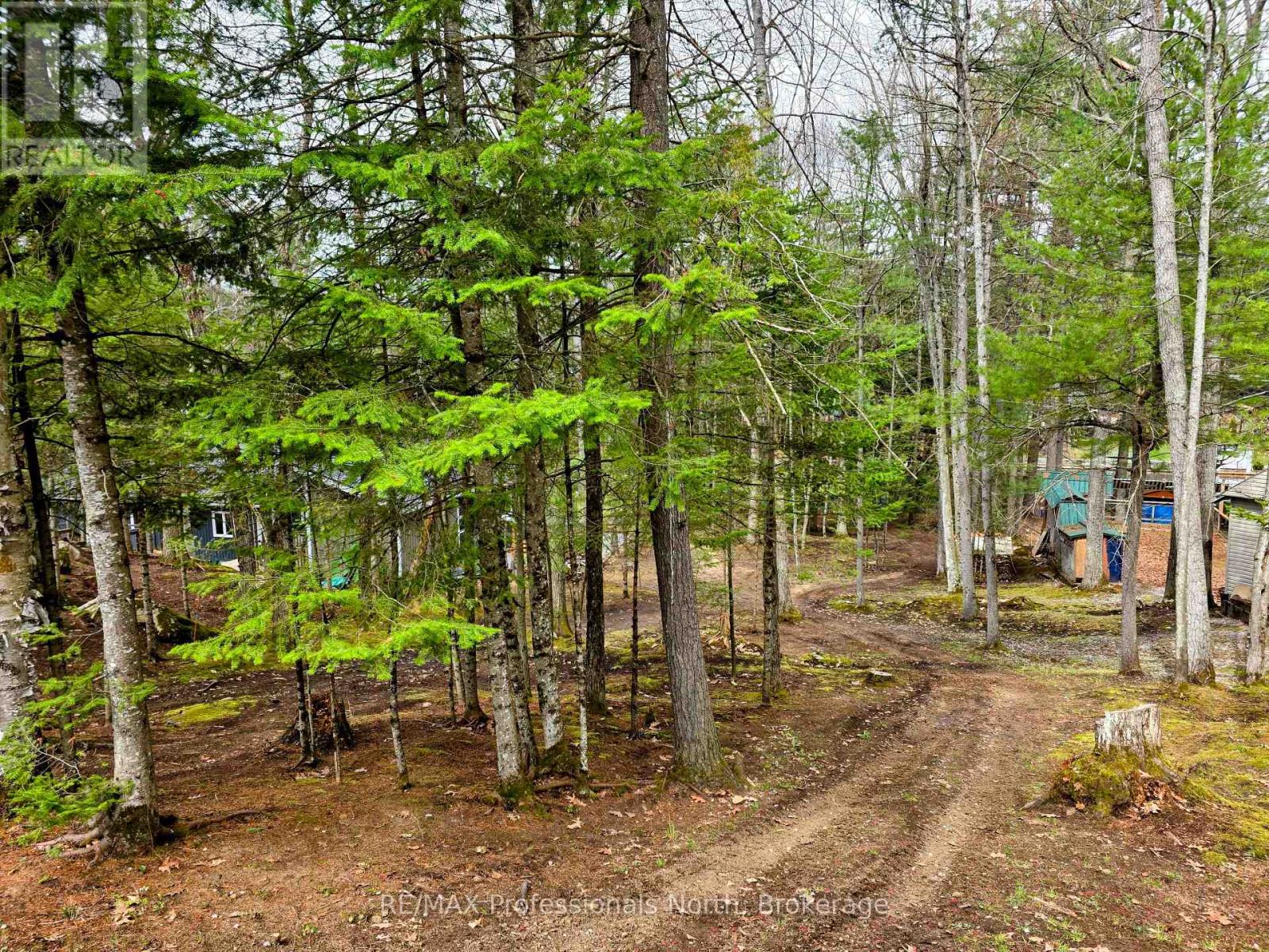 1701 Mission Drive, Minden Hills, Ontario  K0M 2K0 - Photo 6 - X13078740