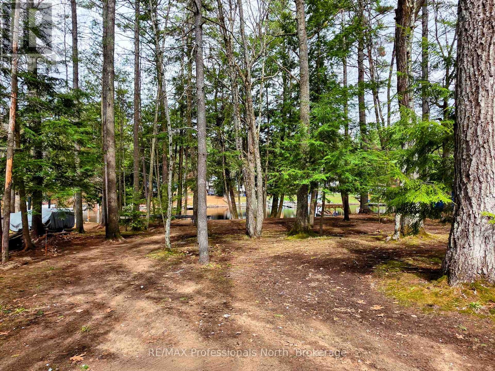 1701 Mission Drive, Minden Hills, Ontario  K0M 2K0 - Photo 7 - X13078740