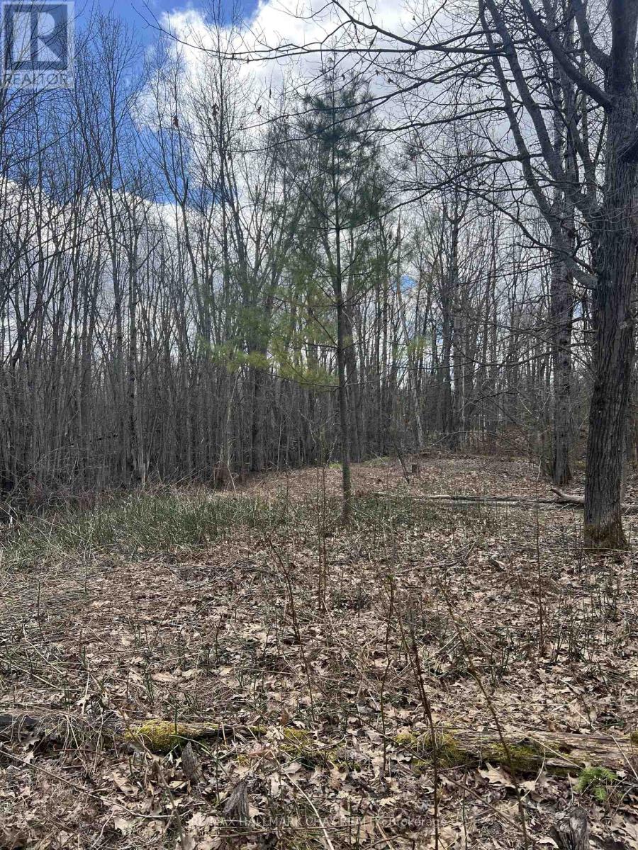 3159 SWITCH ROAD, Ramara, Ontario