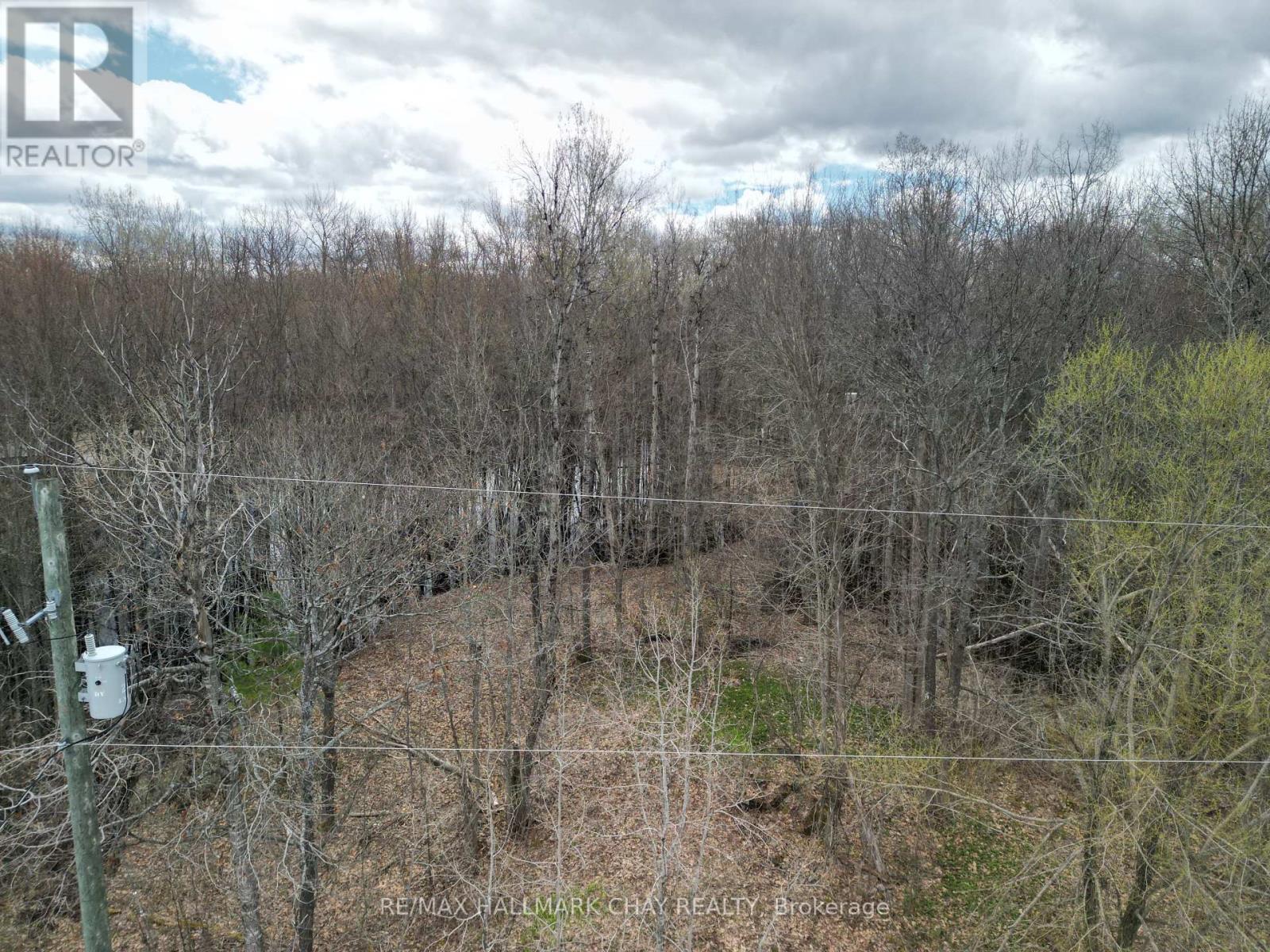 3159 Switch Road, Ramara, Ontario  L0K 2B0 - Photo 19 - S13078932