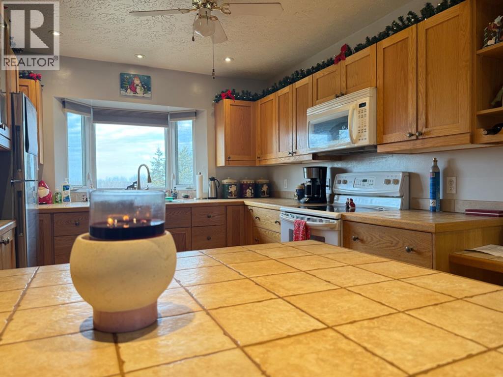 5101 55 Street, Mannville, Alberta  T0B 2W0 - Photo 6 - A2273231