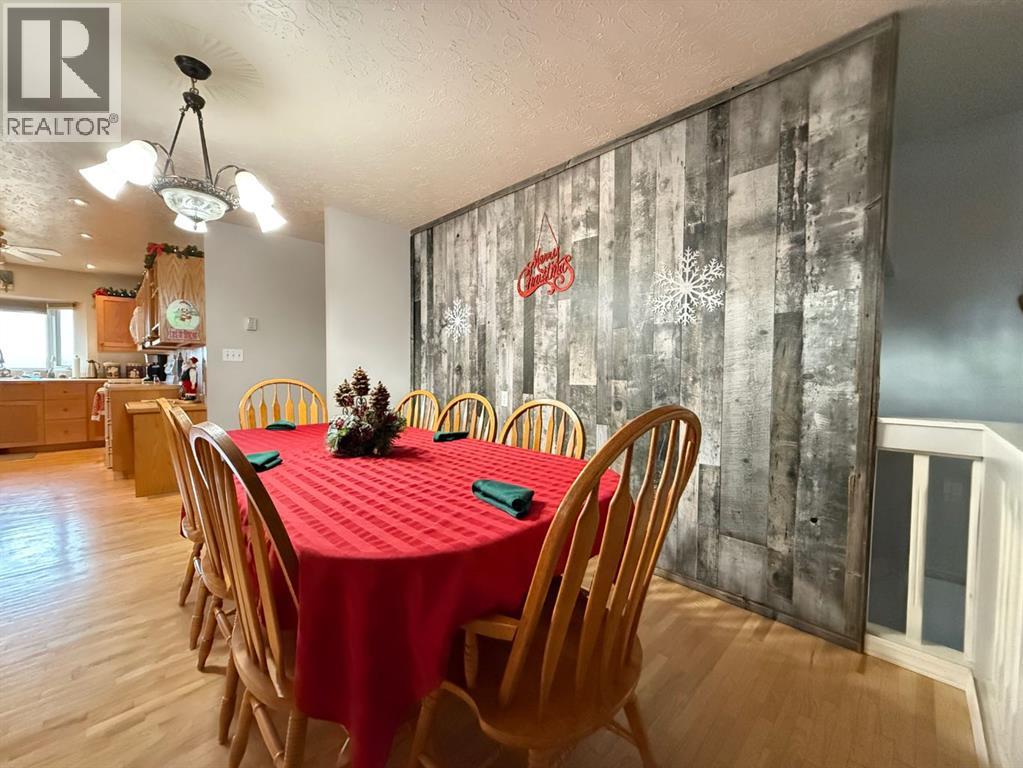 5101 55 Street, Mannville, Alberta  T0B 2W0 - Photo 8 - A2273231