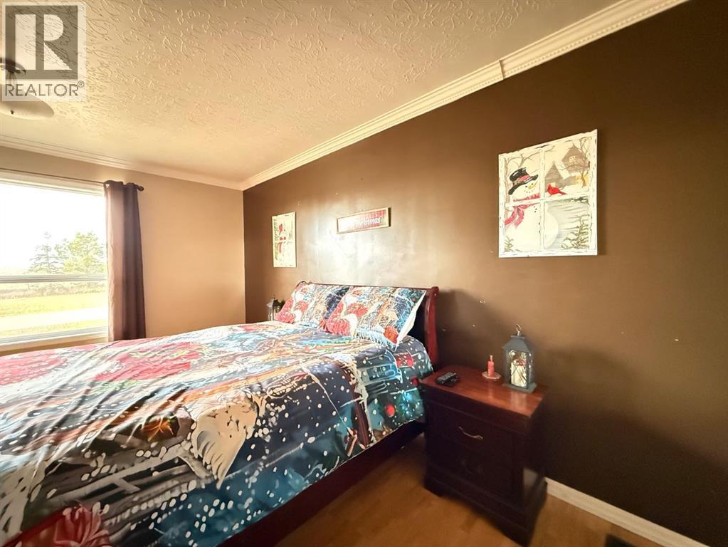 5101 55 Street, Mannville, Alberta  T0B 2W0 - Photo 13 - A2273231
