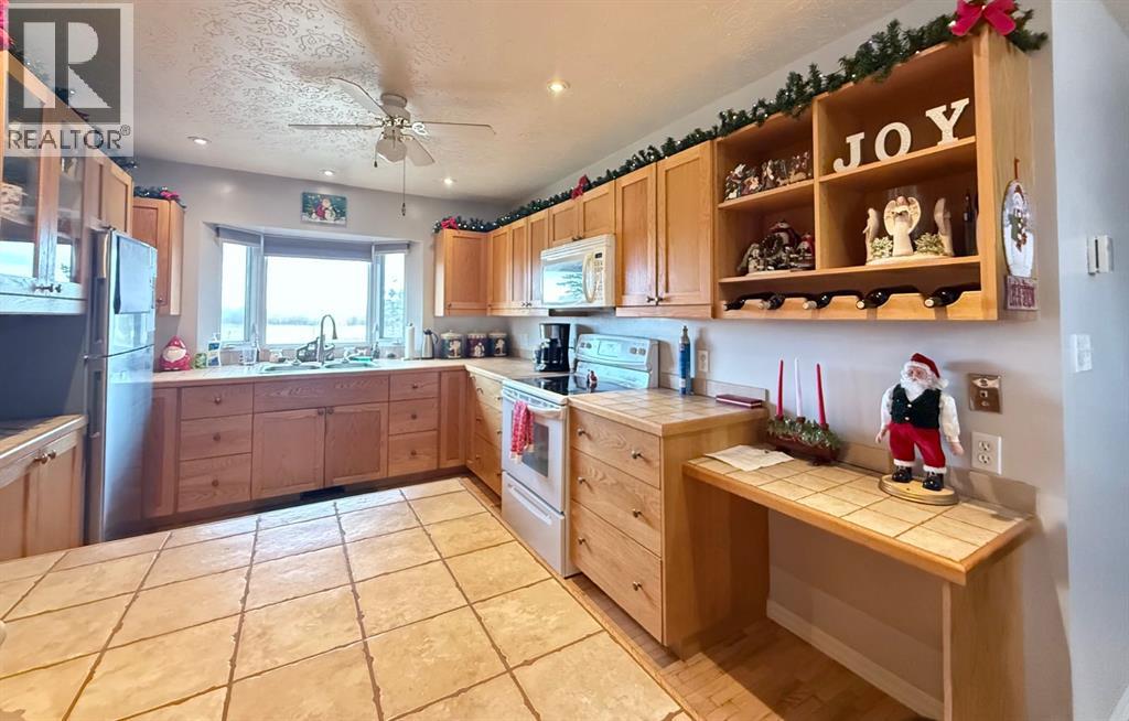 5101 55 Street, Mannville, Alberta  T0B 2W0 - Photo 4 - A2273231