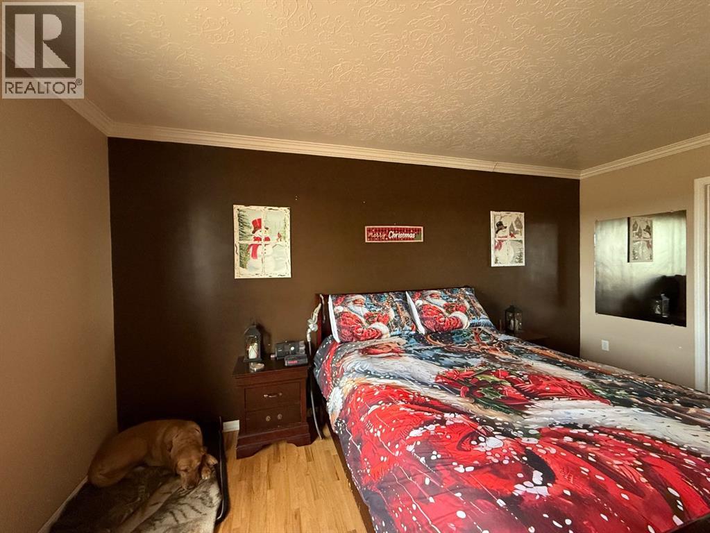 5101 55 Street, Mannville, Alberta  T0B 2W0 - Photo 14 - A2273231