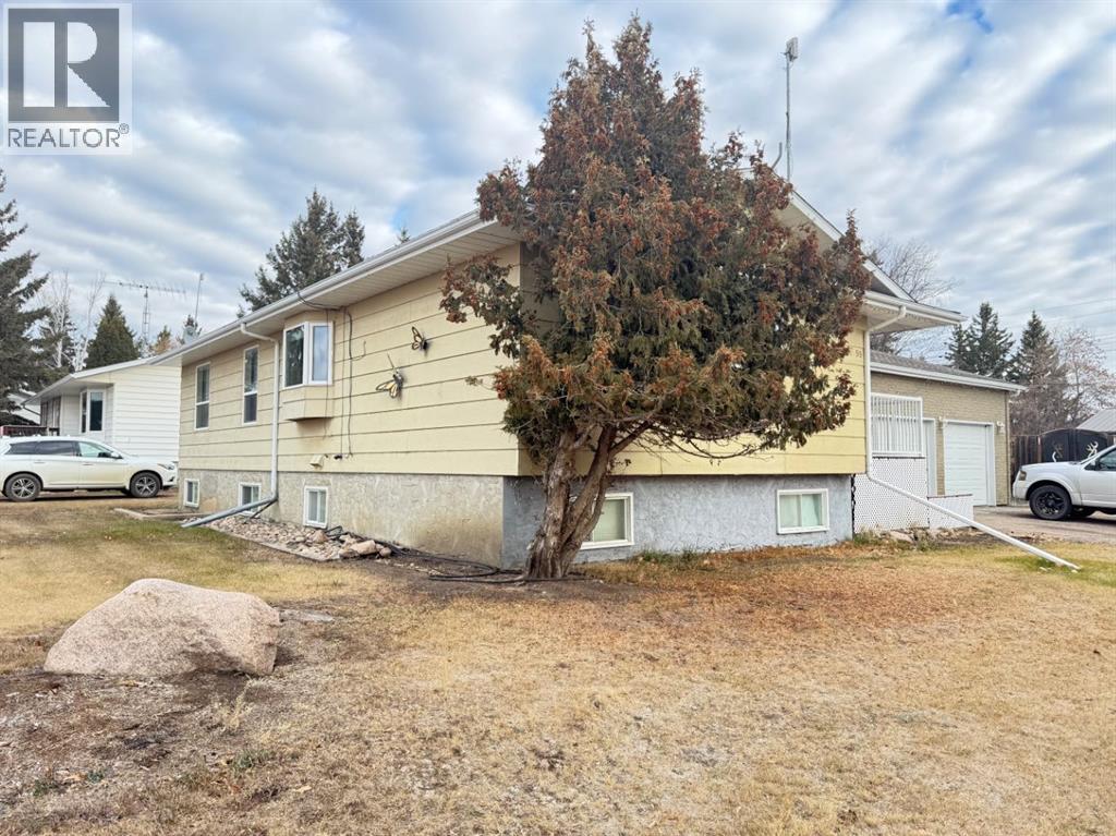 5101 55 Street, Mannville, Alberta  T0B 2W0 - Photo 32 - A2273231
