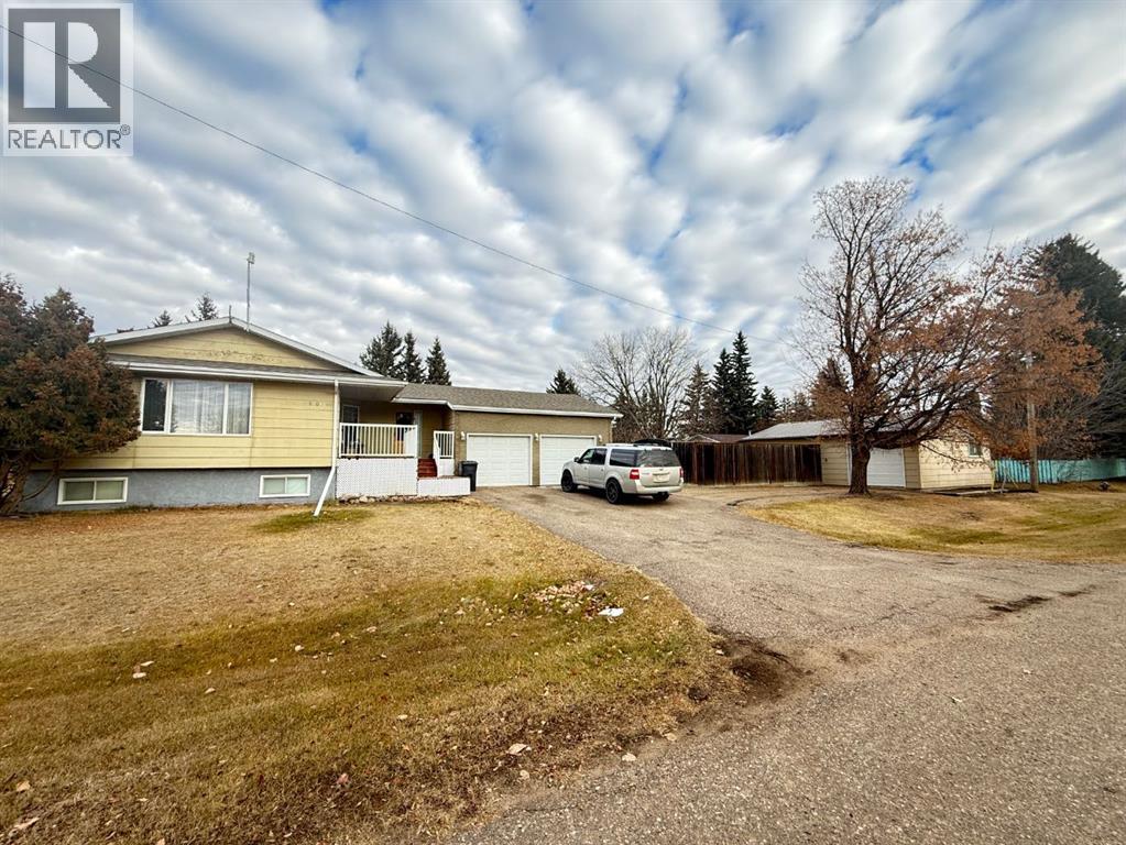 5101 55 Street, Mannville, Alberta  T0B 2W0 - Photo 1 - A2273231