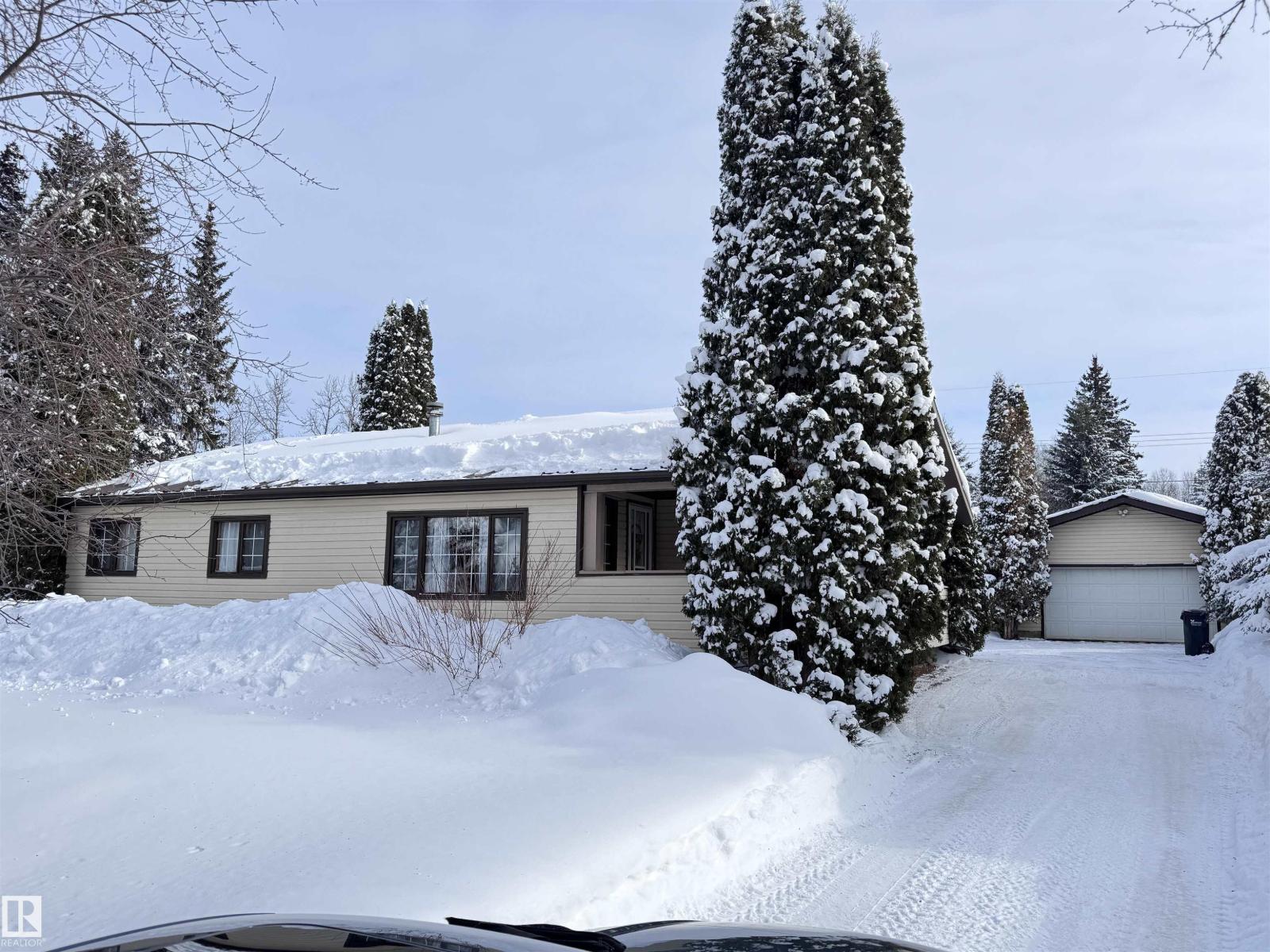 5309 51 St, Jarvie, Alberta  T0G 1H0 - Photo 7 - E4474828