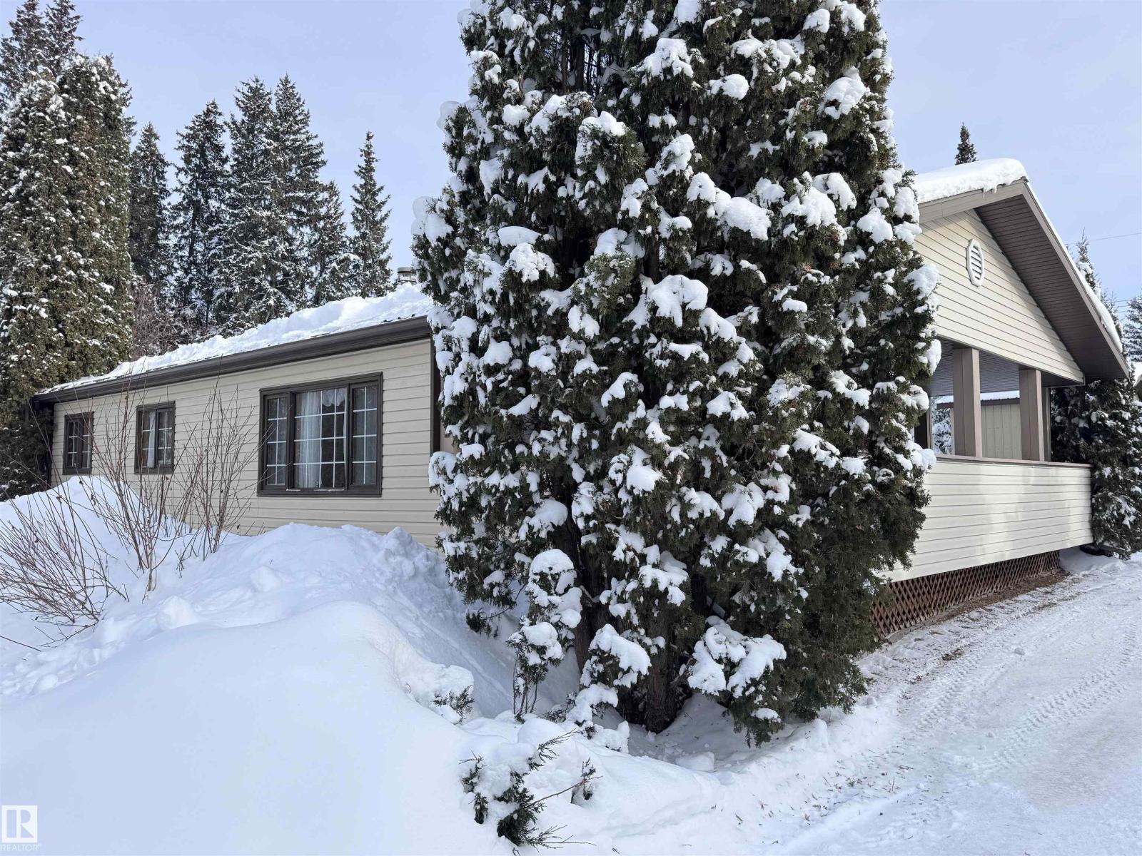 5309 51 St, Jarvie, Alberta  T0G 1H0 - Photo 8 - E4474828