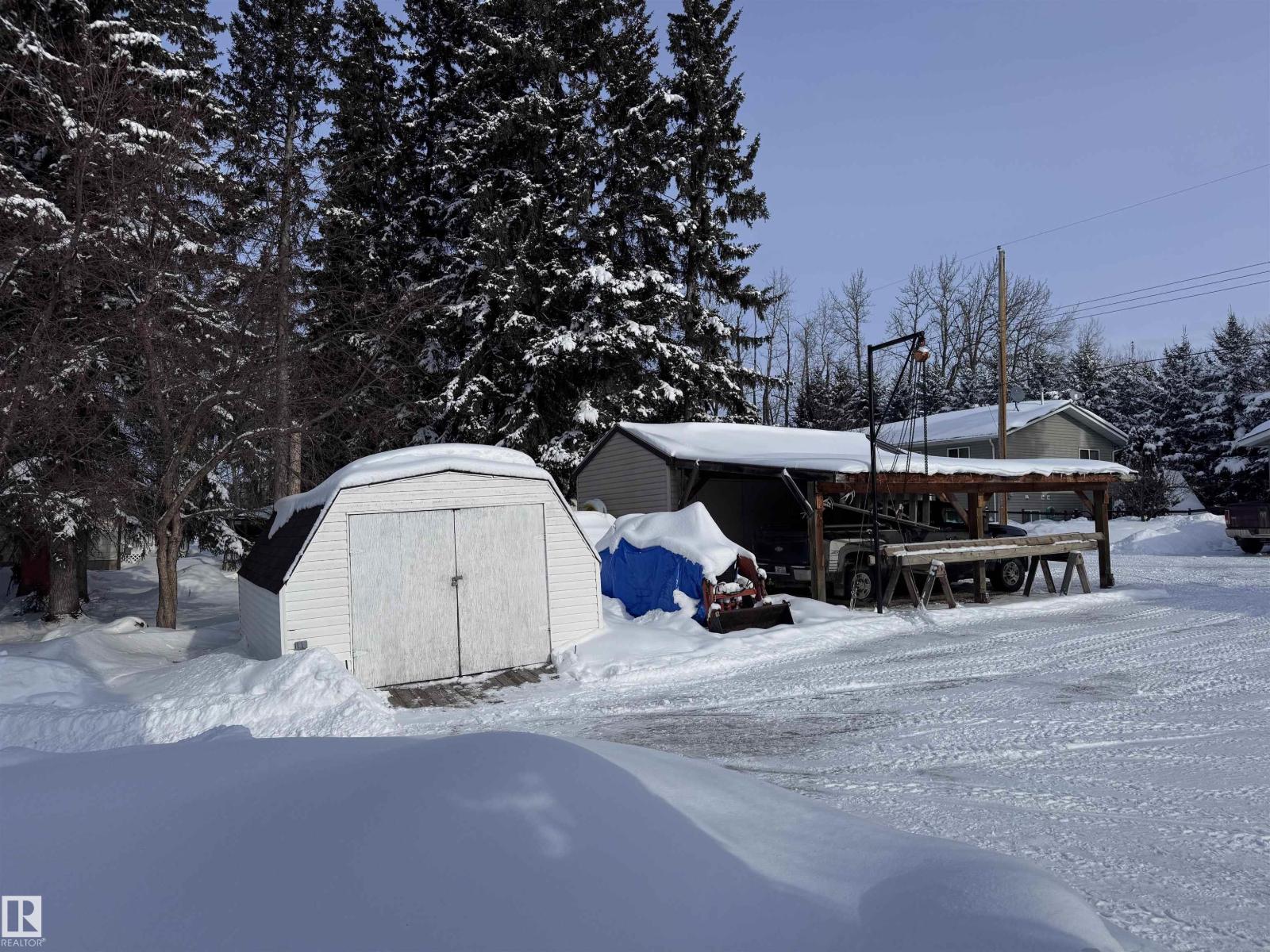 5309 51 St, Jarvie, Alberta  T0G 1H0 - Photo 36 - E4474828