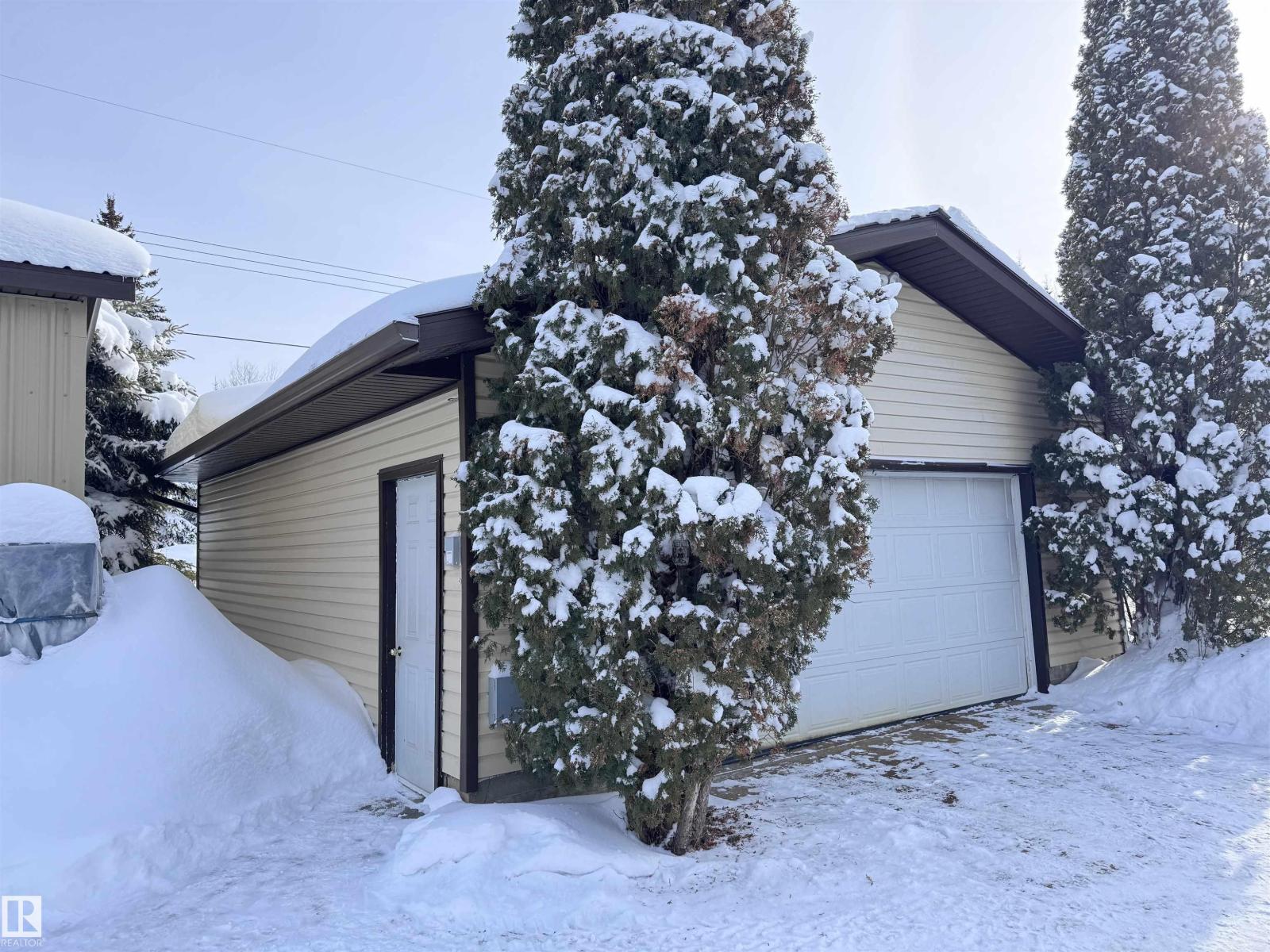 5309 51 St, Jarvie, Alberta  T0G 1H0 - Photo 10 - E4474828