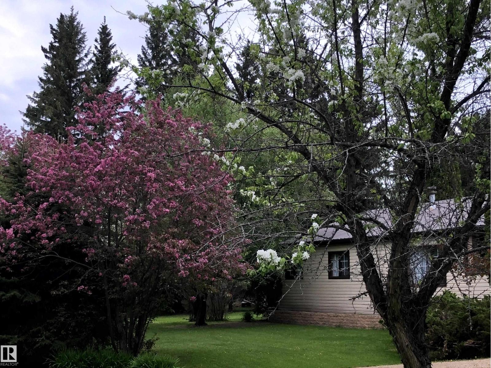 5309 51 St, Jarvie, Alberta  T0G 1H0 - Photo 6 - E4474828