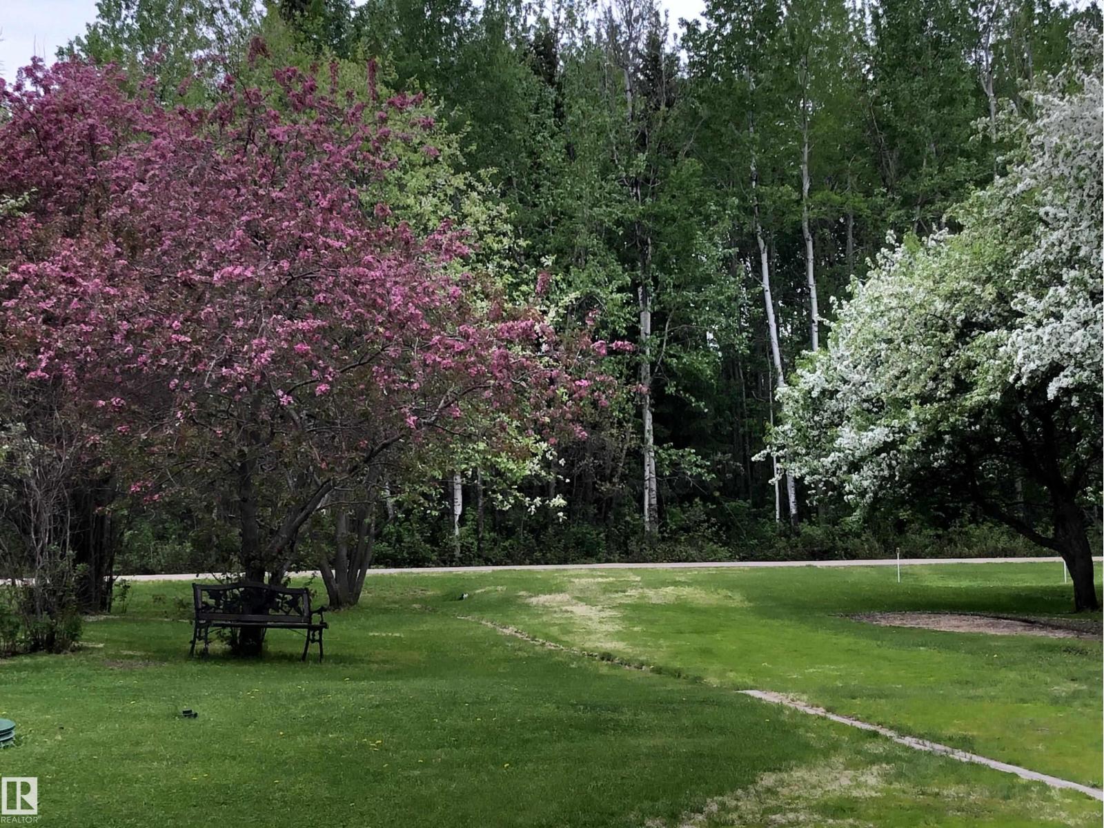 5309 51 St, Jarvie, Alberta  T0G 1H0 - Photo 5 - E4474828