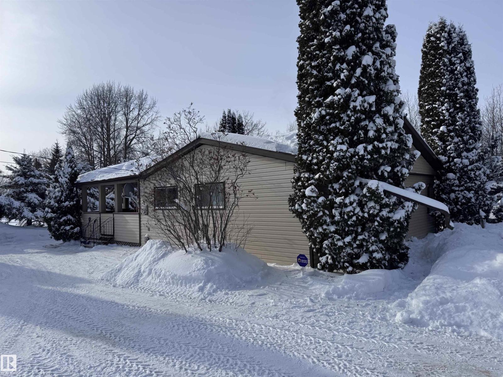 5309 51 St, Jarvie, Alberta  T0G 1H0 - Photo 43 - E4474828