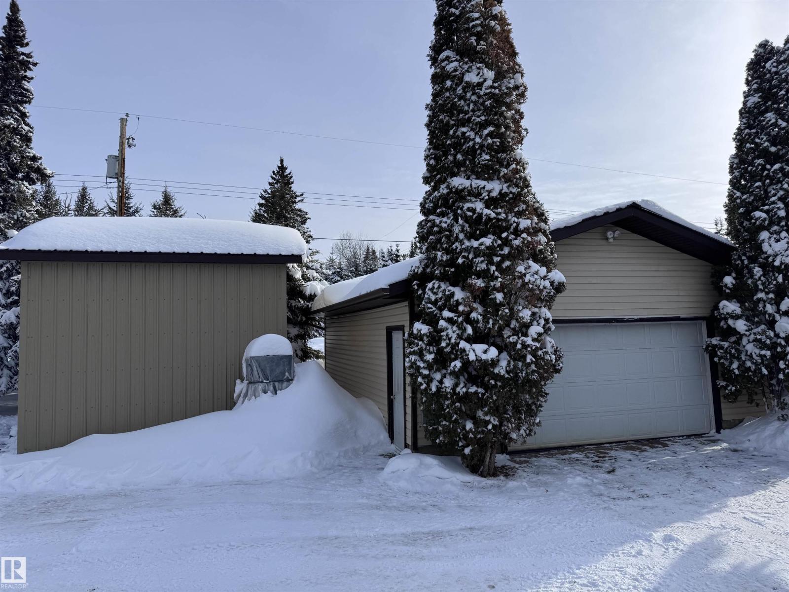 5309 51 St, Jarvie, Alberta  T0G 1H0 - Photo 38 - E4474828