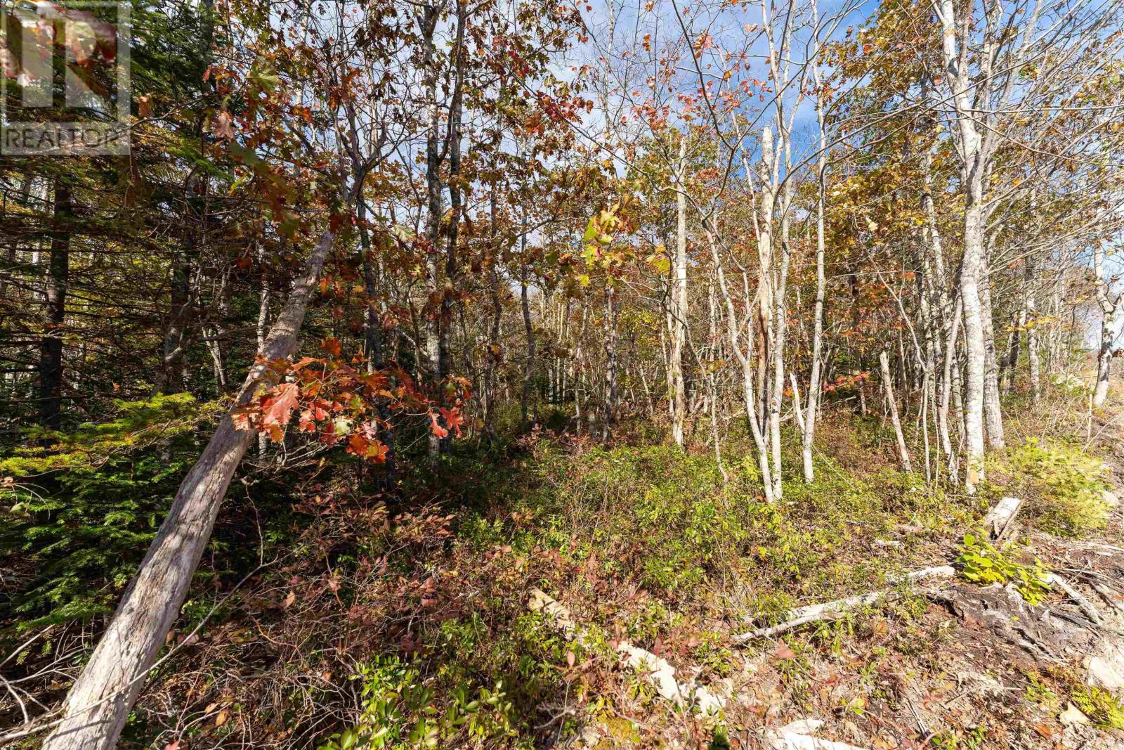 65 Morton Drive, Liverpool, Nova Scotia  B0T 1K0 - Photo 1 - 202323387