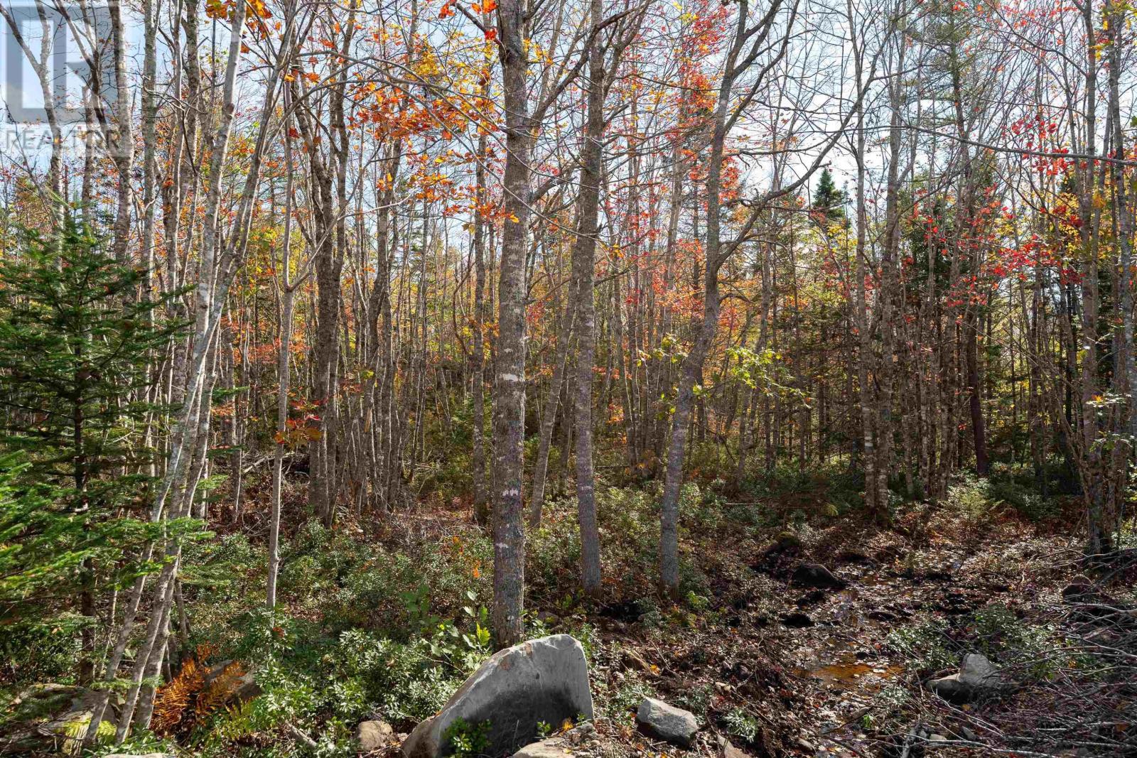 106 Morton Drive, Liverpool, Nova Scotia  B0T 1K0 - Photo 3 - 202323388