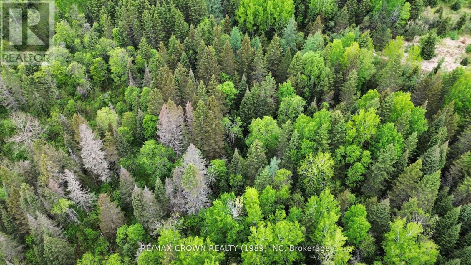 Lot 29 Con 2 Part 3 Grand Desert Road, Bonfield, Ontario  P0H 2E0 - Photo 4 - X13079008