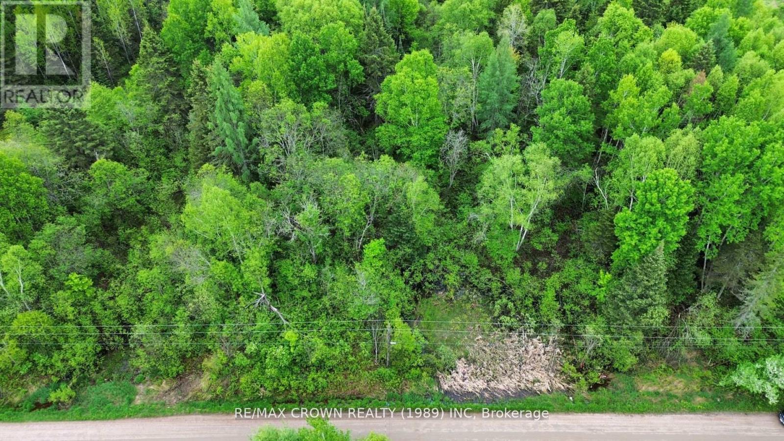 Lot 29 Con 2 Part 3 Grand Desert Road, Bonfield, Ontario  P0H 2E0 - Photo 5 - X13079008