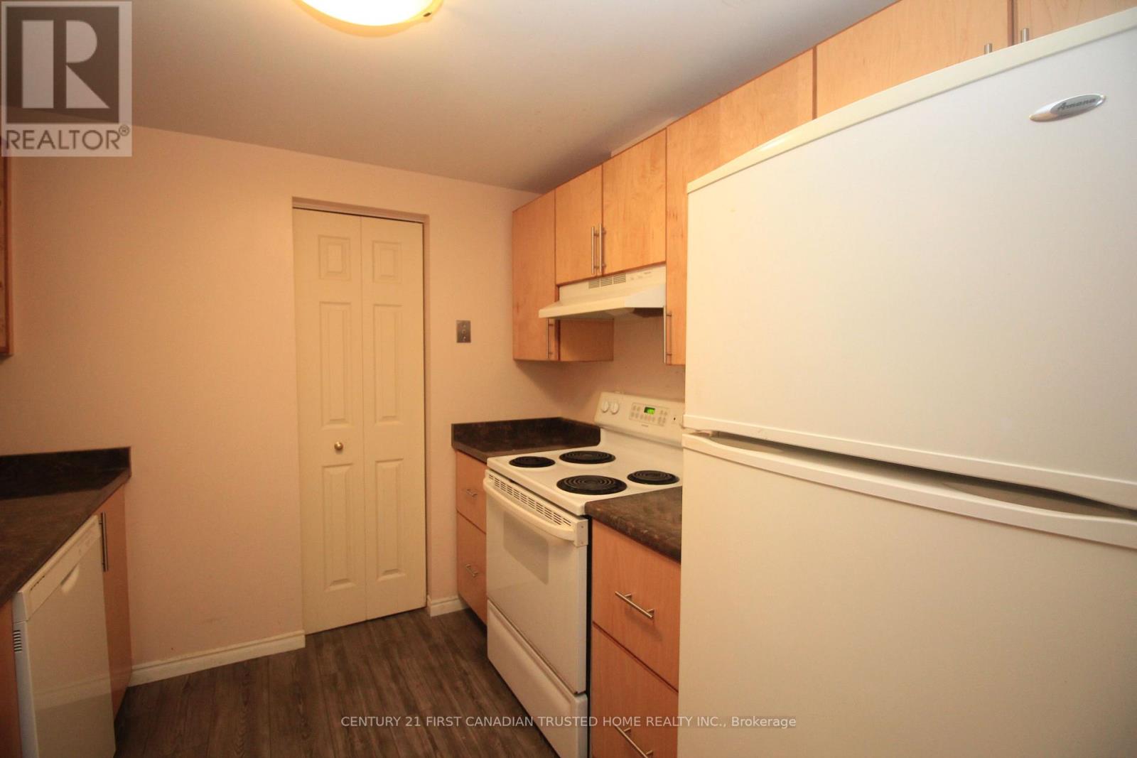 305 - 155 Kent Street, London East, Ontario  N6A 5N7 - Photo 8 - X12914094