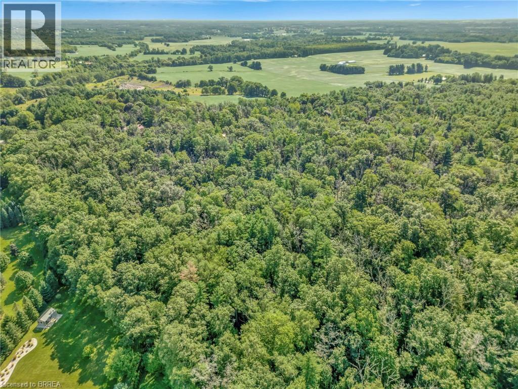 169 Clarke Road, Paris, Ontario  N3L 3E1 - Photo 3 - 40825283