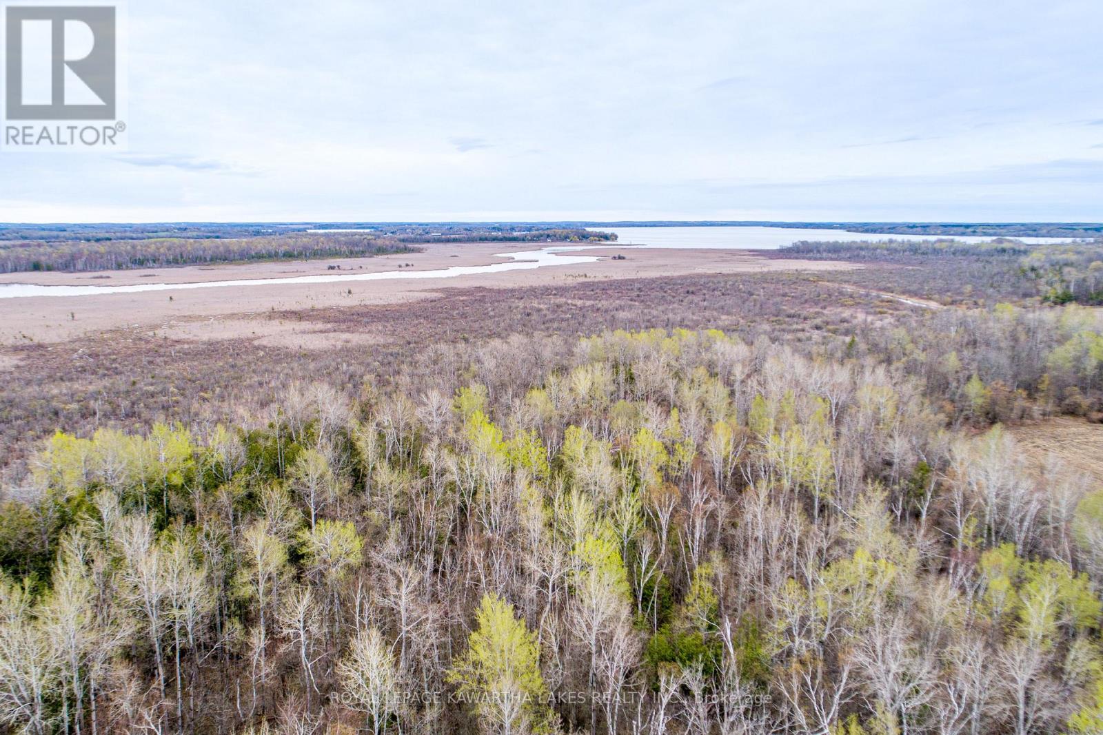 890 Ramsey Road, Kawartha Lakes, Ontario  K0M 2C0 - Photo 14 - X13079264