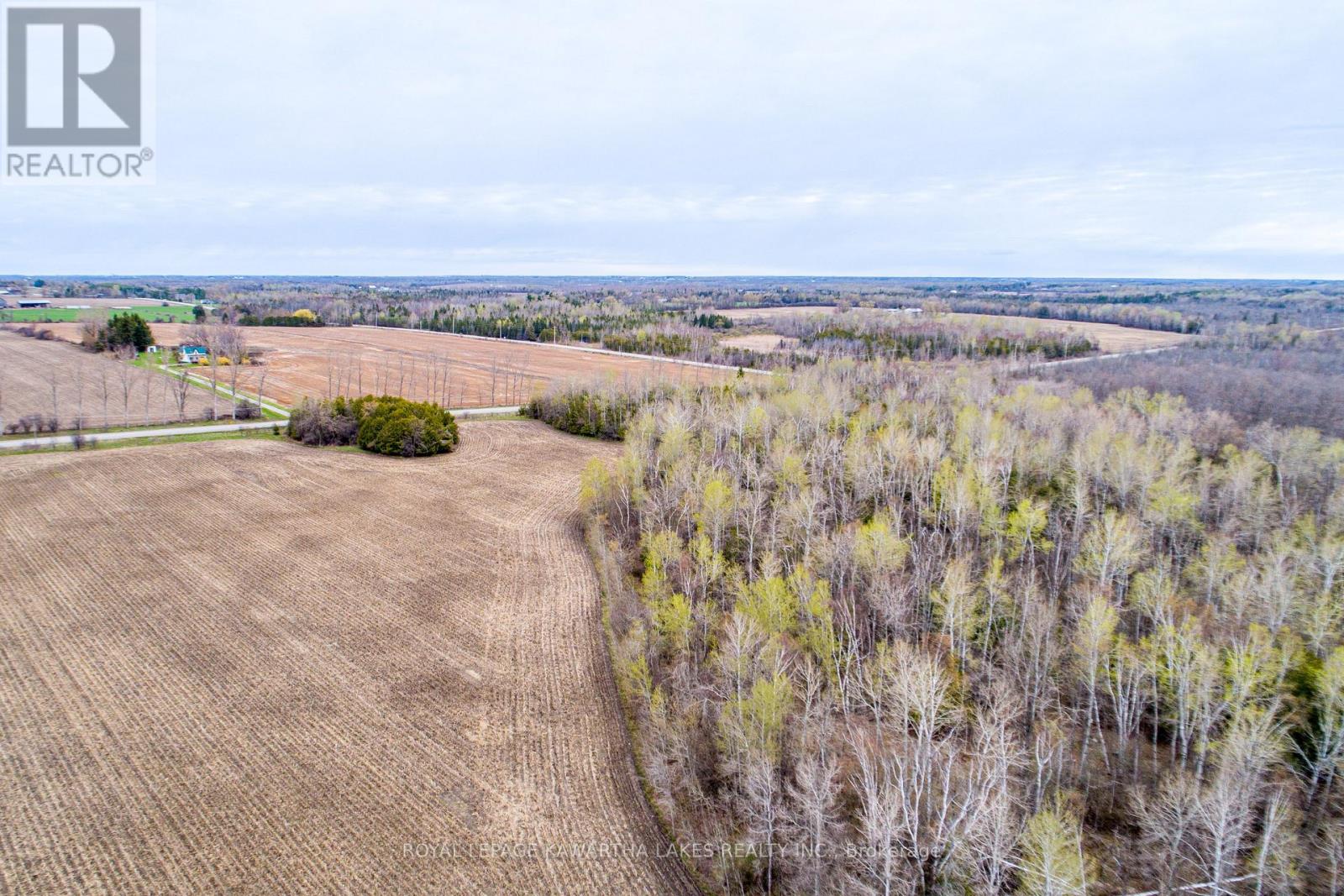 890 Ramsey Road, Kawartha Lakes, Ontario  K0M 2C0 - Photo 17 - X13079264