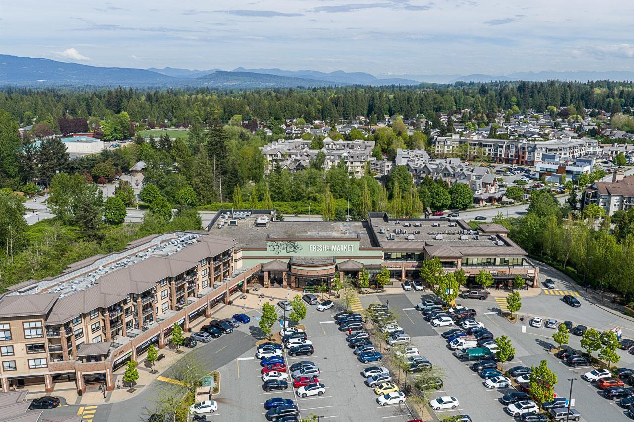 C106 8929 202 Street, Langley, British Columbia  V1M 0B4 - Photo 28 - R3118627