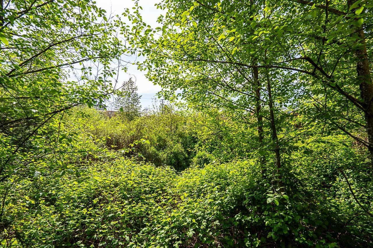 C106 8929 202 Street, Langley, British Columbia  V1M 0B4 - Photo 25 - R3118627