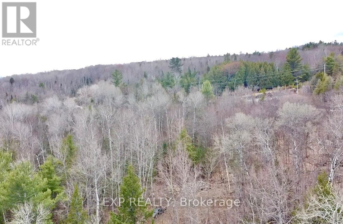 Lot B Arbor Vitae Road, Madawaska Valley, Ontario  K0J 1B0 - Photo 11 - X13079278