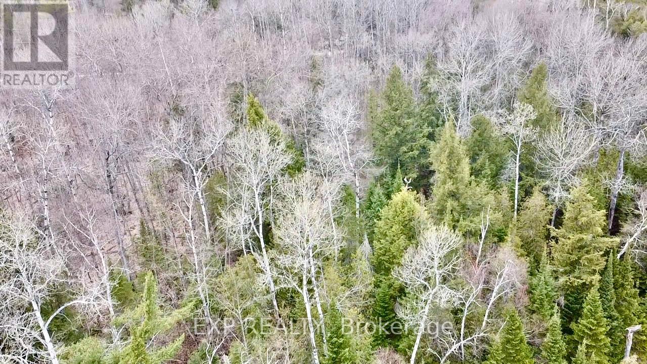 Lot B Arbor Vitae Road, Madawaska Valley, Ontario  K0J 1B0 - Photo 14 - X13079278