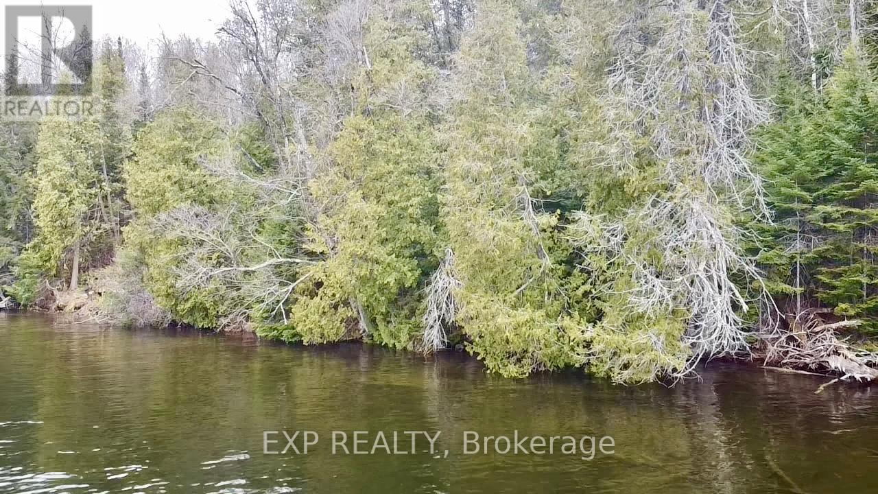 Lot B Arbor Vitae Road, Madawaska Valley, Ontario  K0J 1B0 - Photo 15 - X13079278