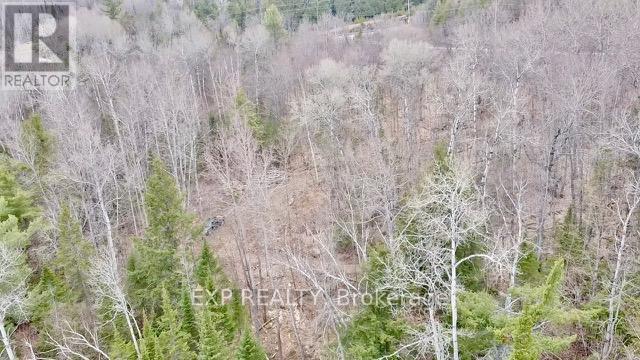 Lot B Arbor Vitae Road, Madawaska Valley, Ontario  K0J 1B0 - Photo 16 - X13079278