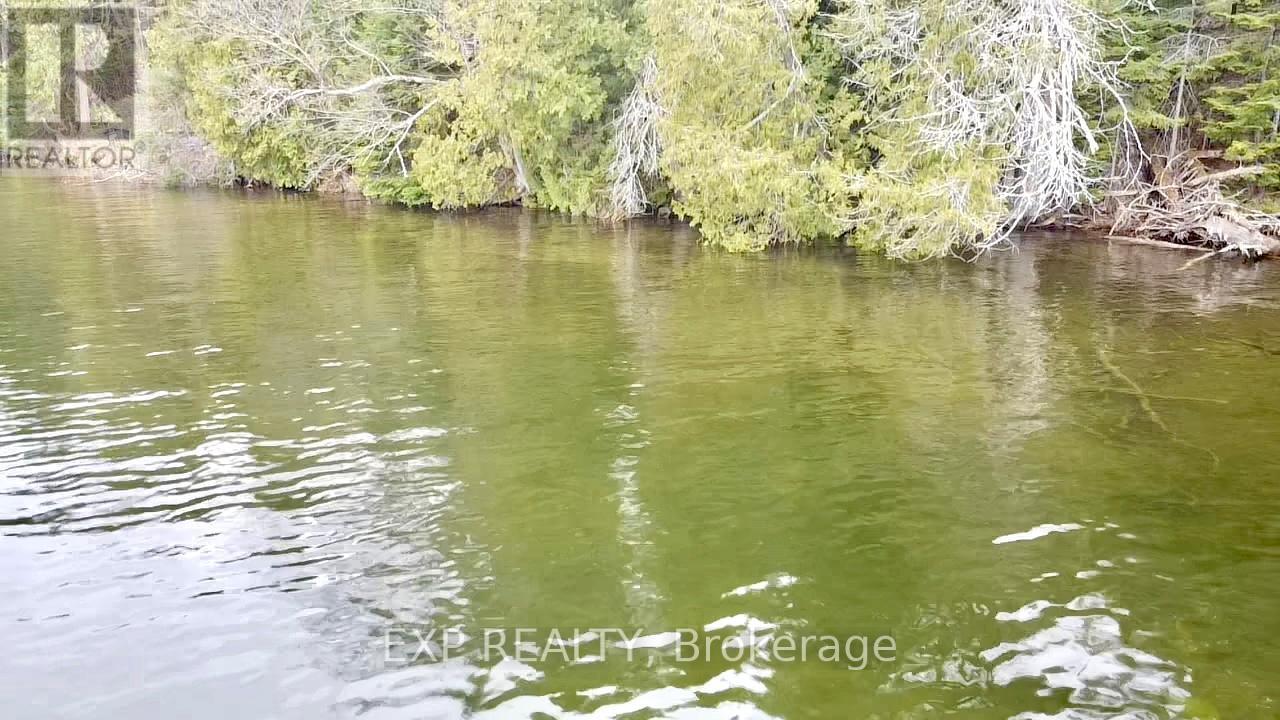 Lot B Arbor Vitae Road, Madawaska Valley, Ontario  K0J 1B0 - Photo 2 - X13079278