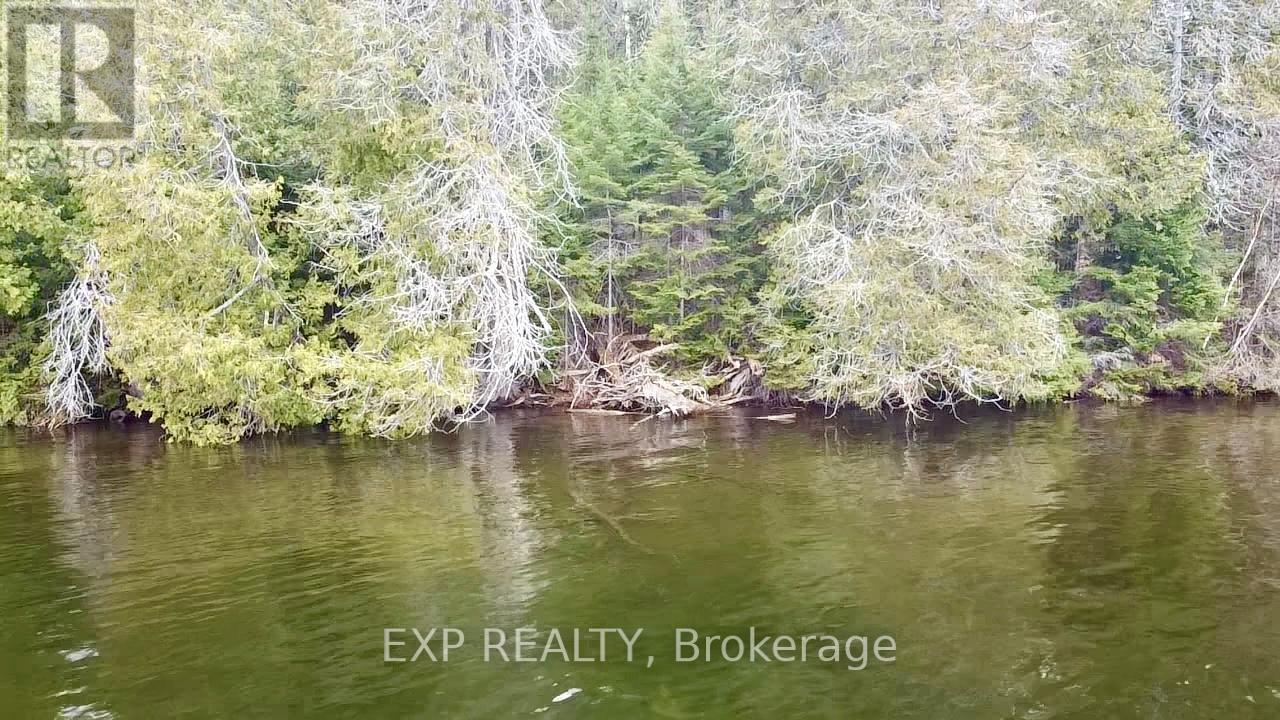 Lot B Arbor Vitae Road, Madawaska Valley, Ontario  K0J 1B0 - Photo 3 - X13079278