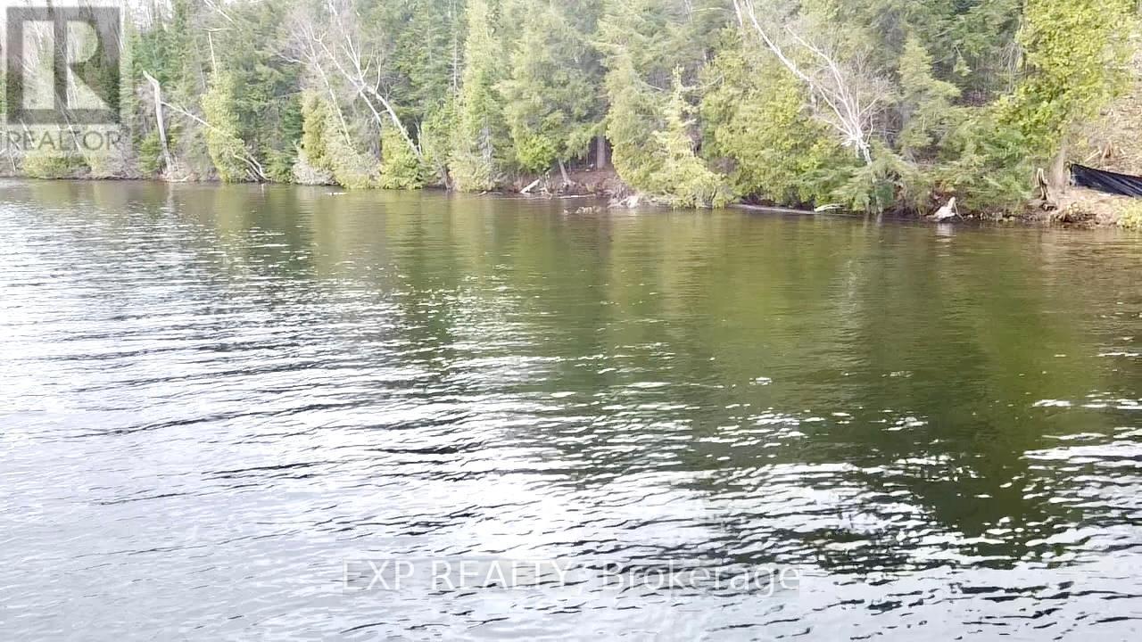 Lot B Arbor Vitae Road, Madawaska Valley, Ontario  K0J 1B0 - Photo 4 - X13079278