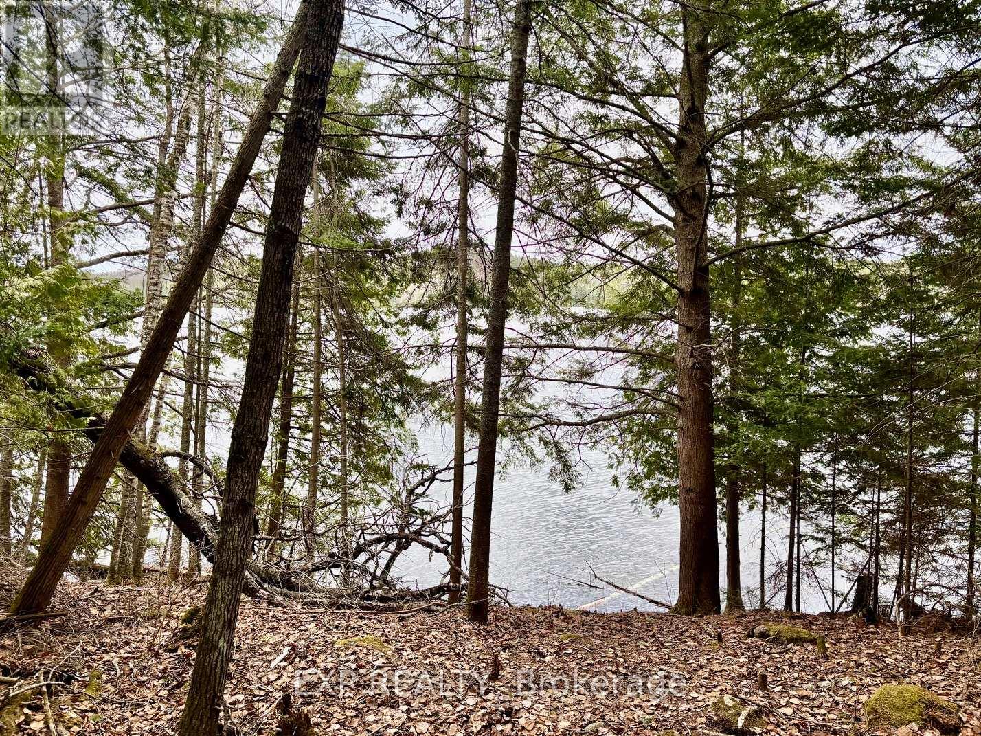 Lot B Arbor Vitae Road, Madawaska Valley, Ontario  K0J 1B0 - Photo 6 - X13079278