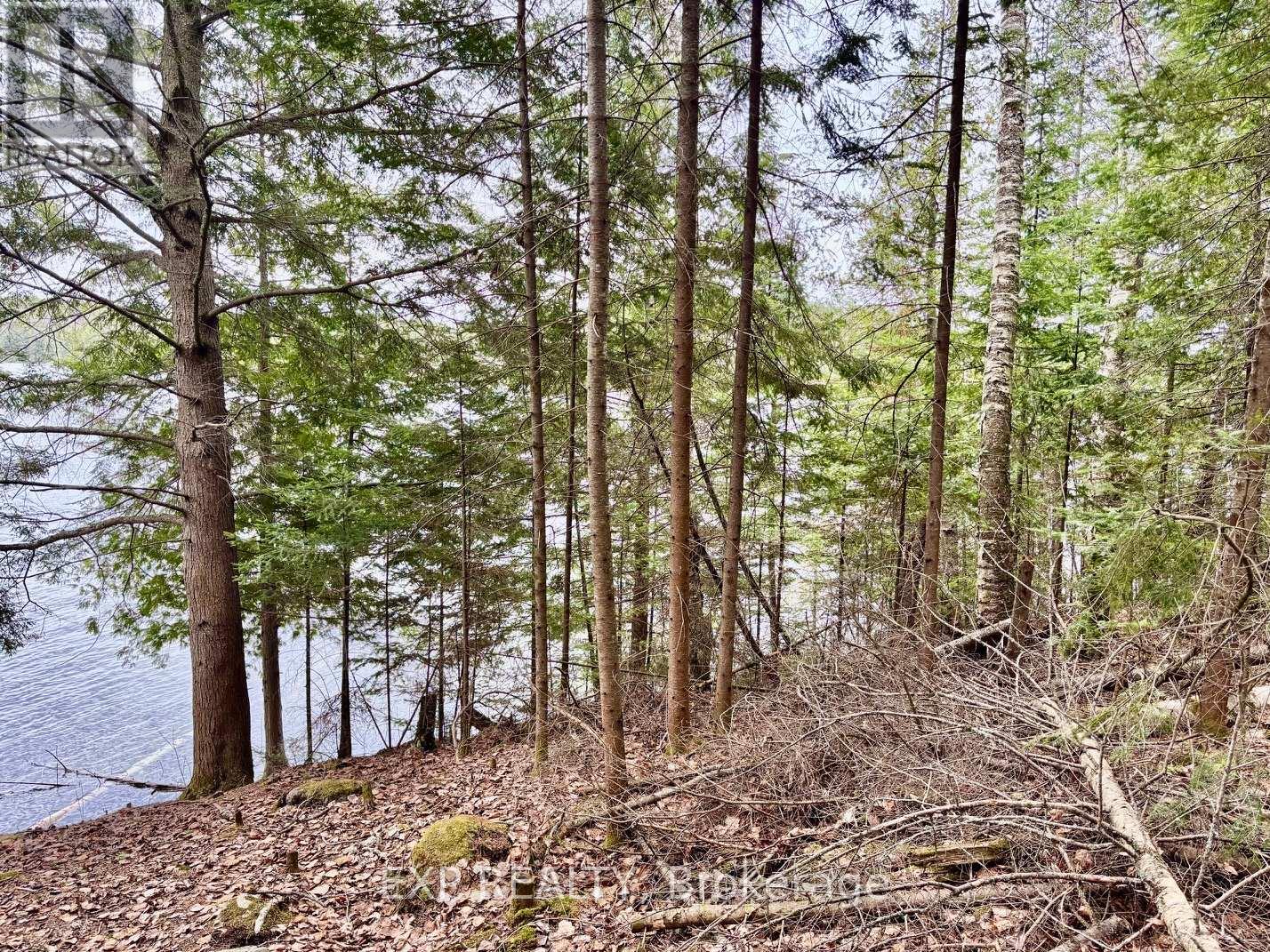 Lot B Arbor Vitae Road, Madawaska Valley, Ontario  K0J 1B0 - Photo 7 - X13079278