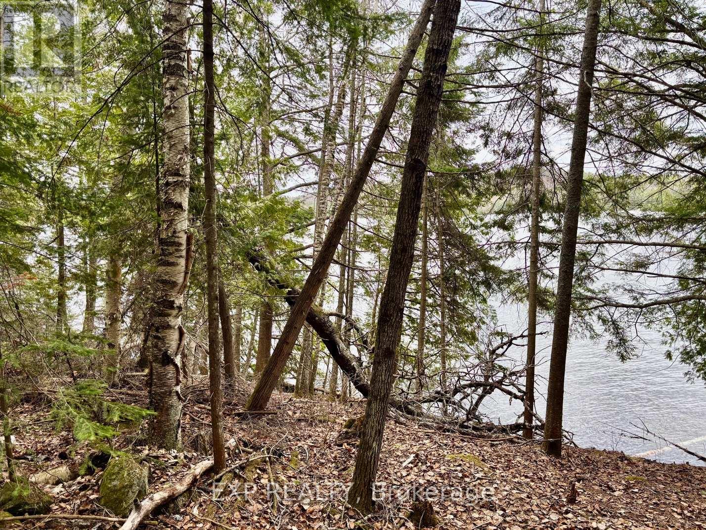 Lot B Arbor Vitae Road, Madawaska Valley, Ontario  K0J 1B0 - Photo 8 - X13079278
