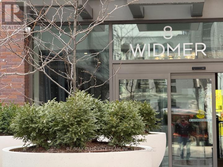 503 - 8 Widmer Street, Toronto, Ontario  M5V 0W6 - Photo 3 - C13079106